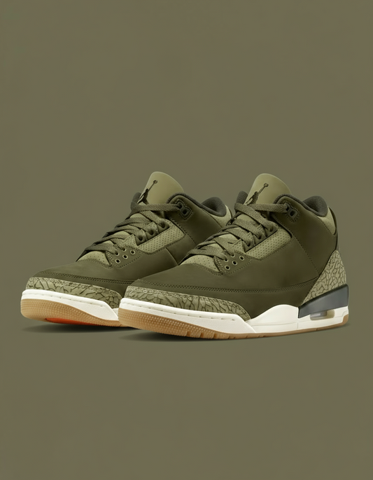 Air Jordan 3 Retro "Family Affair"