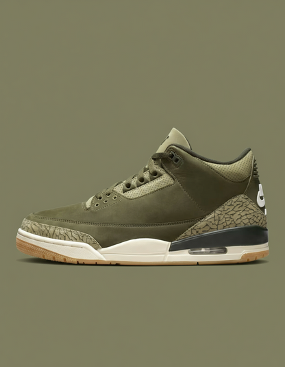 Air Jordan 3 Retro "Family Affair"