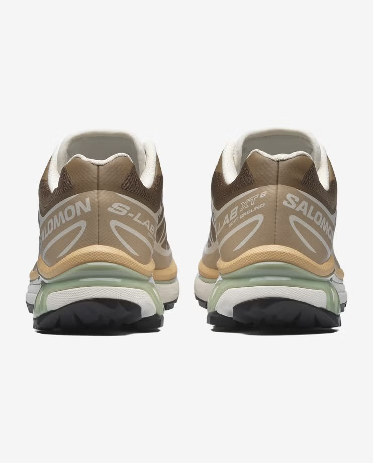 XT-6 (Coyote Brown/Safari)