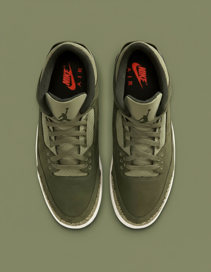 Air Jordan 3 Retro "Family Affair"