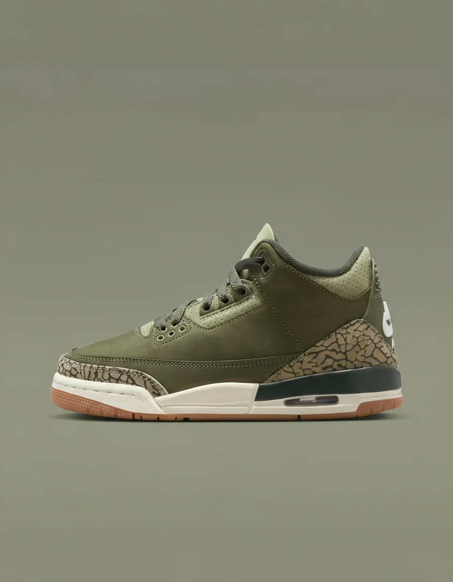 Air Jordan 3 Retro (GS) "Family Affair"