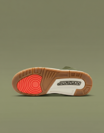 Air Jordan 3 Retro (GS) "Family Affair"