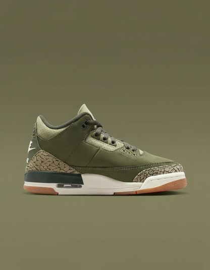 Air Jordan 3 Retro (GS) "Family Affair"