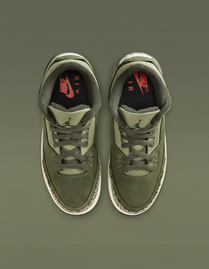 Air Jordan 3 Retro (GS) "Family Affair"