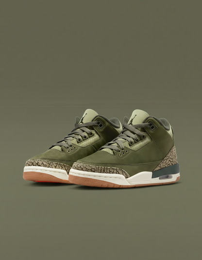 Air Jordan 3 Retro (GS) "Family Affair"