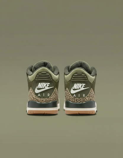 Air Jordan 3 Retro (GS) "Family Affair"