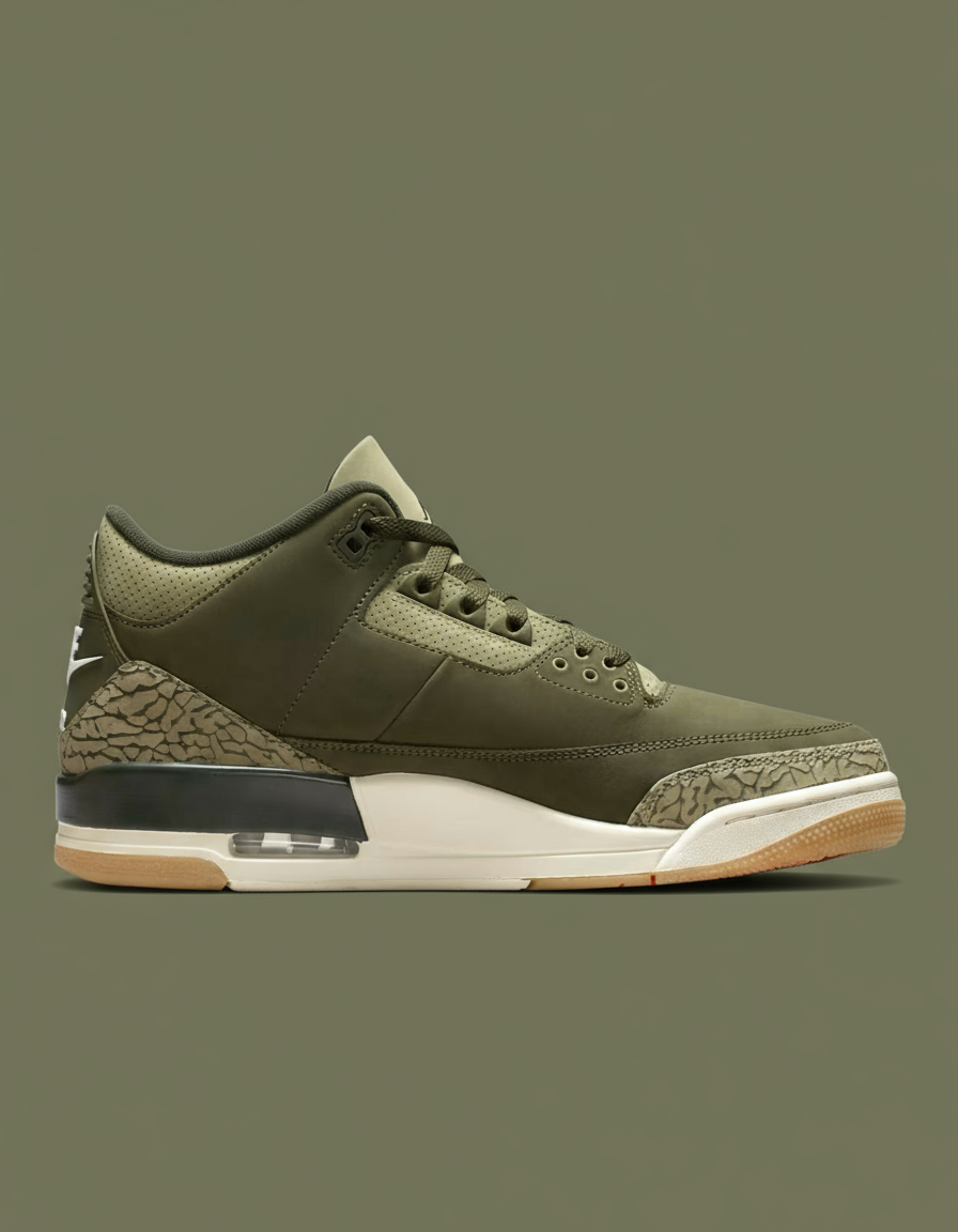 Air Jordan 3 Retro "Family Affair"