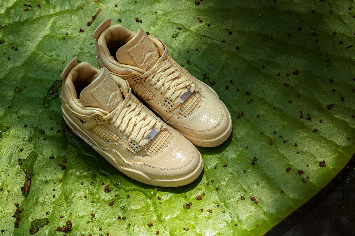 Air Jordan 4 x J Balvin "Amazonas"